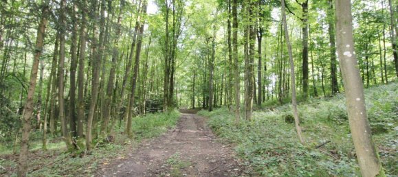  قطعة أرض في Linz, Austria رقم 250126 5