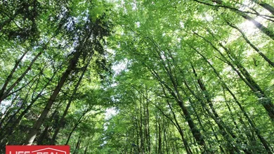  قطعة أرض في Linz, Austria رقم 250126