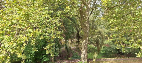 Edificio de 12 habitaciónes en Bochum, Germany No. 91884 13