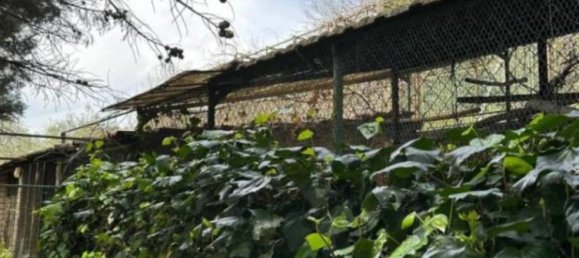 Вилла с 2 спальнями в Морлупо, Италия № 100467 31