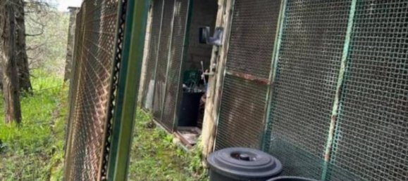 Вилла с 2 спальнями в Морлупо, Италия № 100467 32