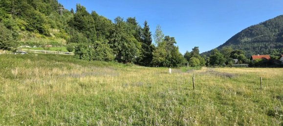 Grundstück in Deutschfeistritz, Austria, Nr. 219305 7