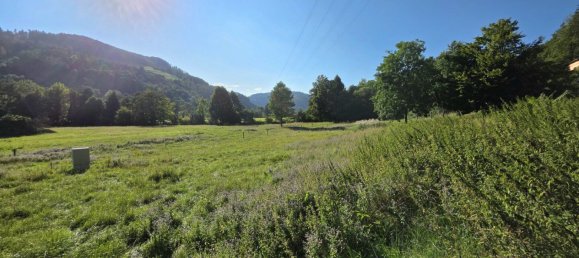 Grundstück in Deutschfeistritz, Austria, Nr. 219305 14