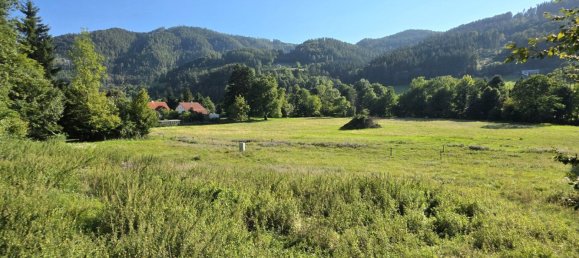 Grundstück in Deutschfeistritz, Austria, Nr. 219305 2