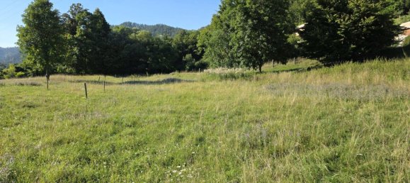 Grundstück in Deutschfeistritz, Austria, Nr. 219305 11