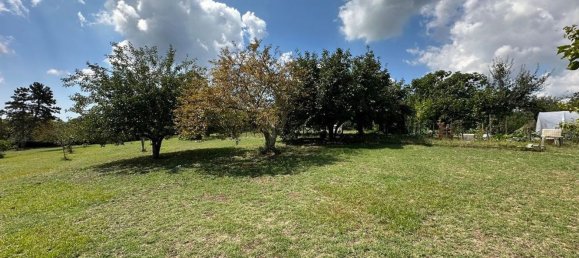 9 bedrooms Villa in Manziana, Italy No. 373485 14