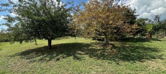 9 bedrooms Villa in Manziana, Italy No. 373485 10