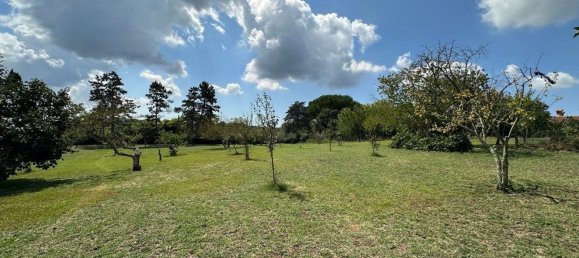 9 bedrooms Villa in Manziana, Italy No. 373485 8