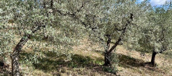 5 bedrooms Villa in Torricella in Sabina, Italy No. 343953 8