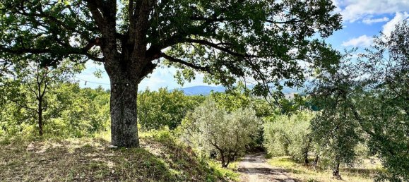 5 bedrooms Villa in Torricella in Sabina, Italy No. 343953 28