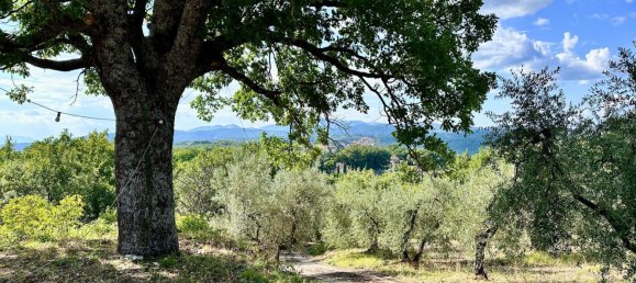 5 bedrooms Villa in Torricella in Sabina, Italy No. 343953 4