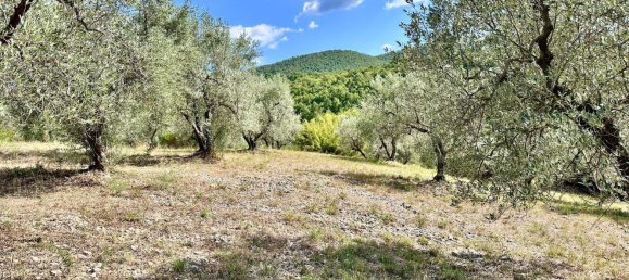 5 bedrooms Villa in Torricella in Sabina, Italy No. 343953 6