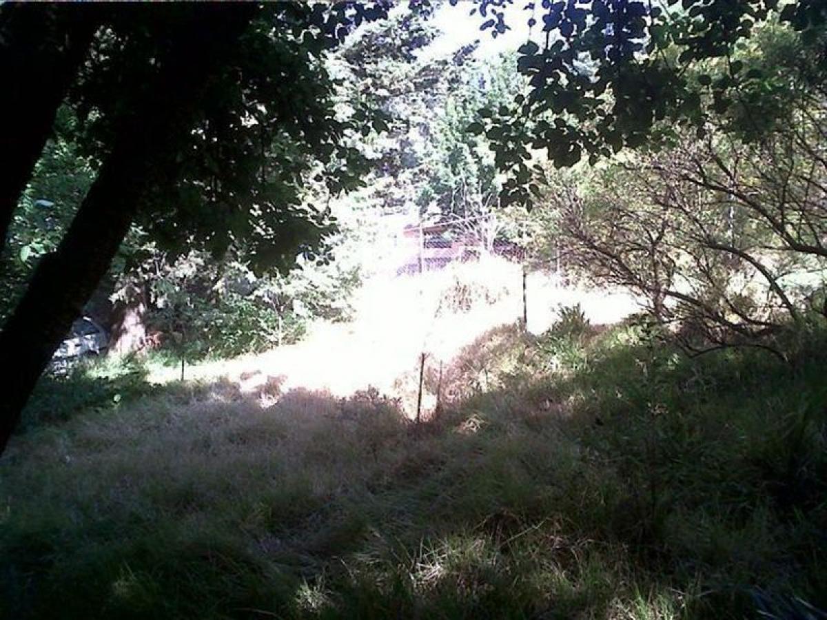 Земельный участок в Вилья Герреро, Мексика № 203454