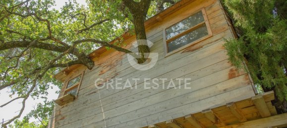 7 bedrooms House in Cetona, Italy No. 288063 15