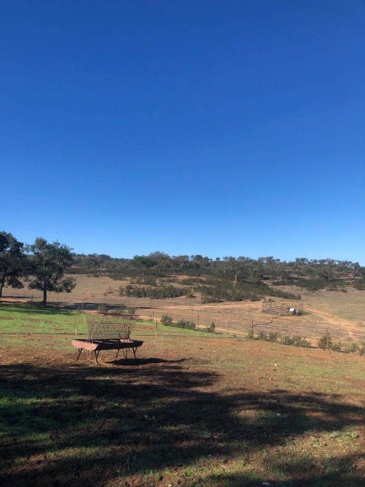 302250m² Land in Santiago do Cacem, Portugal No. 50844