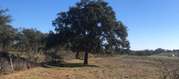 302250m² Land in Santiago do Cacem, Portugal No. 50844 40