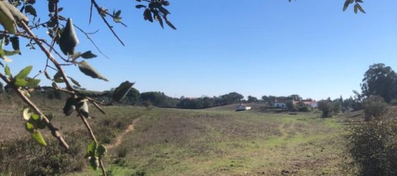 302250m² Land in Santiago do Cacem, Portugal No. 50844 17