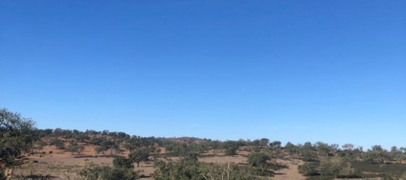 302250m² Land in Santiago do Cacem, Portugal No. 50844 30