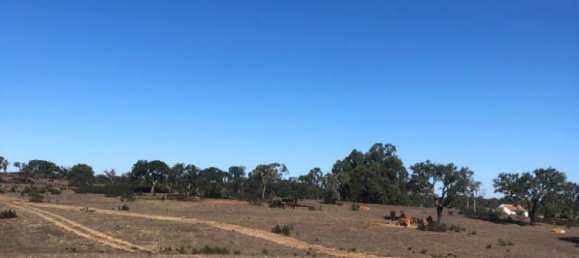 302250m² Land in Santiago do Cacem, Portugal No. 50844 38