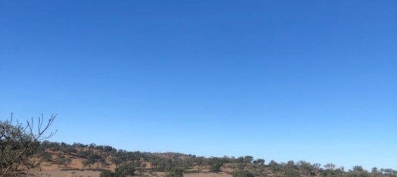 302250m² Land in Santiago do Cacem, Portugal No. 50844 15