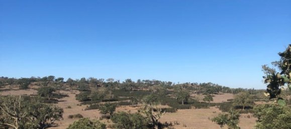 302250m² Land in Santiago do Cacem, Portugal No. 50844 33