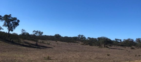 302250m² Land in Santiago do Cacem, Portugal No. 50844 47