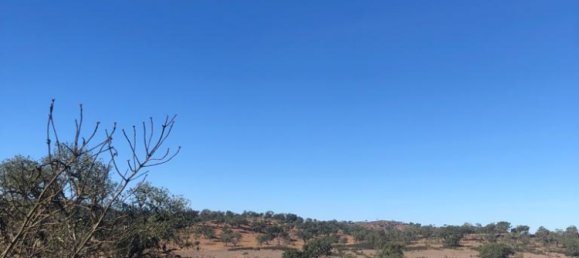 302250m² Land in Santiago do Cacem, Portugal No. 50844 39