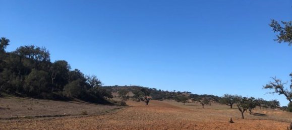 302250m² Land in Santiago do Cacem, Portugal No. 50844 26
