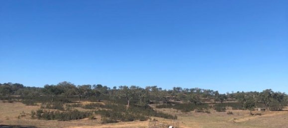 302250m² Land in Santiago do Cacem, Portugal No. 50844 18