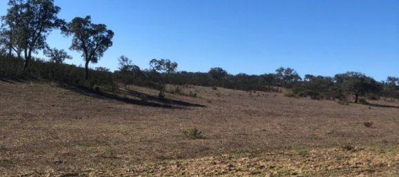 302250m² Land in Santiago do Cacem, Portugal No. 50844 42