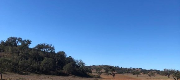 302250m² Land in Santiago do Cacem, Portugal No. 50844 5