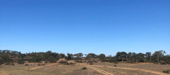 302250m² Land in Santiago do Cacem, Portugal No. 50844 19