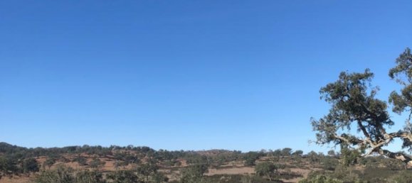 302250m² Land in Santiago do Cacem, Portugal No. 50844 6