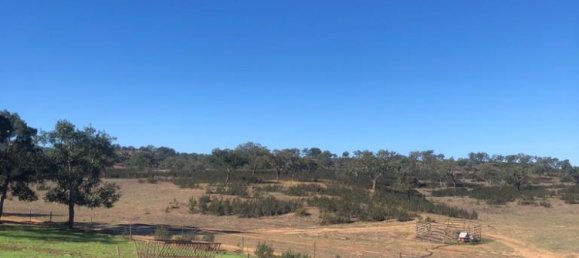 302250m² Land in Santiago do Cacem, Portugal No. 50844 22