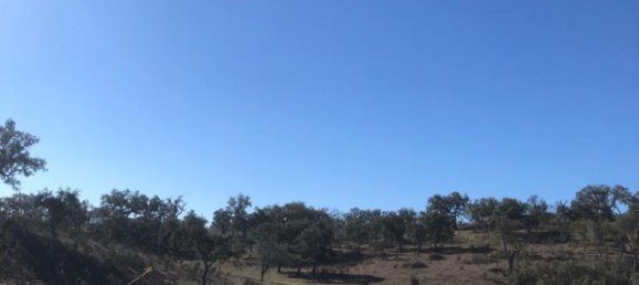 302250m² Land in Santiago do Cacem, Portugal No. 50844 29