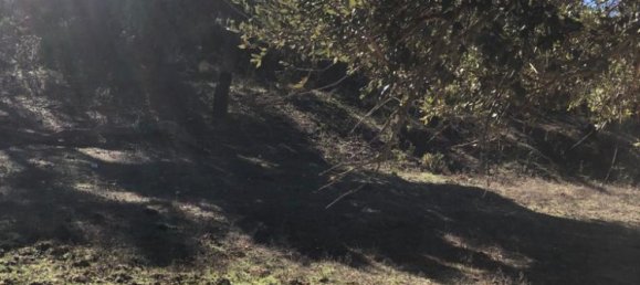 302250m² Land in Santiago do Cacem, Portugal No. 50844 32