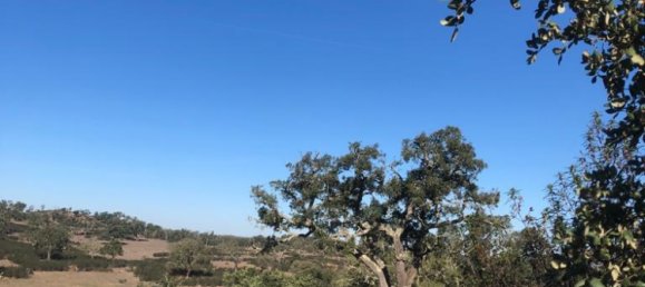 302250m² Land in Santiago do Cacem, Portugal No. 50844 14