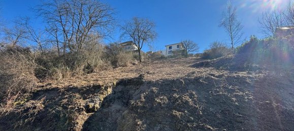  قطعة أرض في Trier-Saarburg, Germany رقم 126240 3