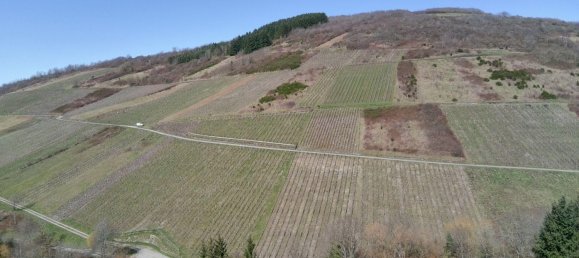  قطعة أرض في Trier-Saarburg, Germany رقم 126240 4