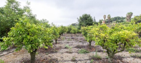 Вилла с 8 спальнями в Пего, Испания № 167032 33