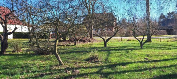 Terrain à Vorpommern-Greifswald, Germany No. 108593 2