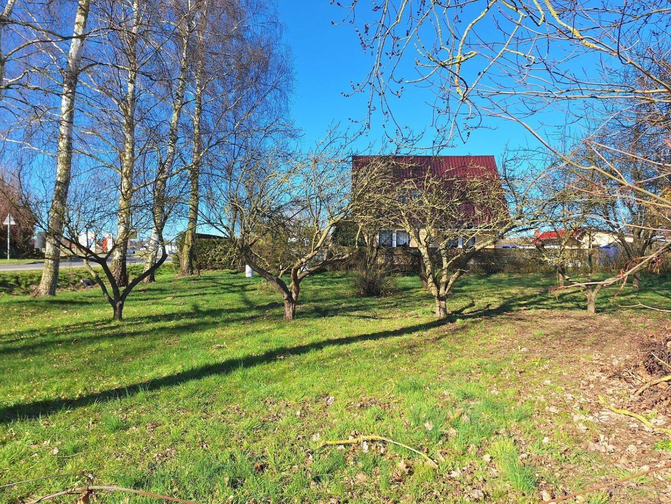 Terrain à Vorpommern-Greifswald, Germany No. 108593