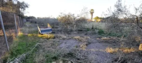 4 bedrooms House in Almardà, Spain No. 31133 51