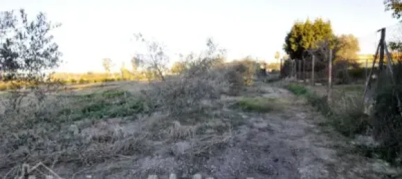 4 bedrooms House in Almardà, Spain No. 31133 53