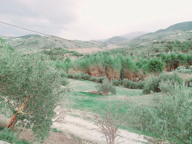  قطعة أرض في Alhama de Granada, Spain 8000متر مربع رقم 220021