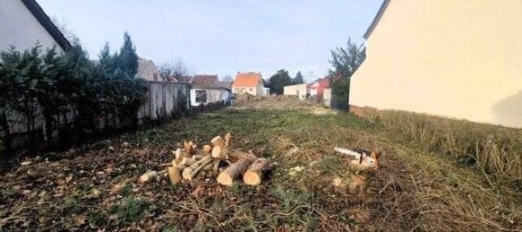 Terreno em Oder-Spree, Germany N.º 110928 5