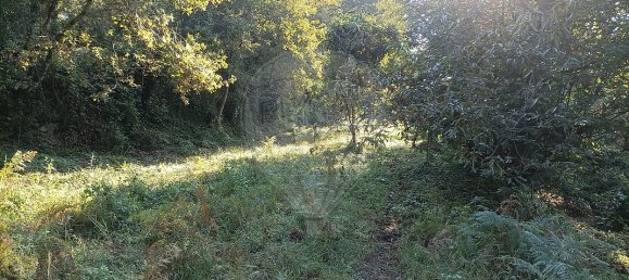 3 chambres Maison à Vila Verde, Portugal No. 42617 19