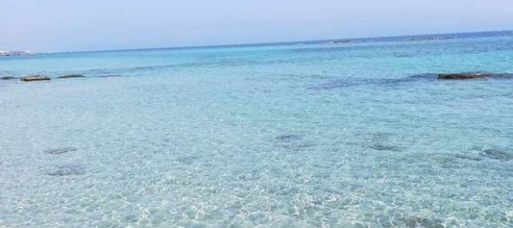 3-salle Maison à Melendugno, Italy No. 237945 8