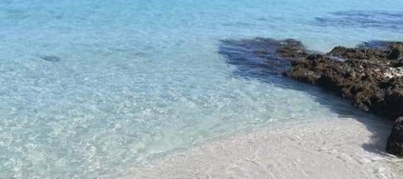 3-salle Maison à Melendugno, Italy No. 237945 86