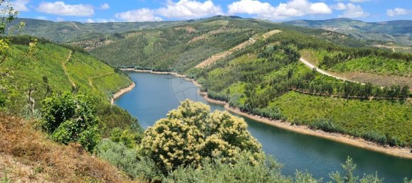 Студия в Alvaro, Португалия № 40760 5